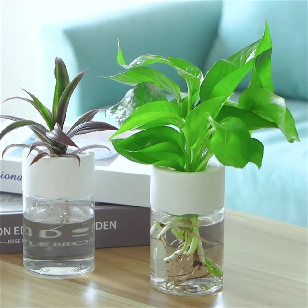 Aloe Vera Pot - 미니 수경 재배 화분 투명 무토양