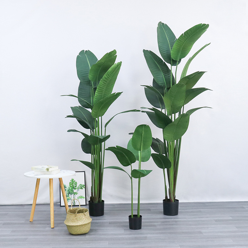 Bird Paradise Strelitzia - 인공 플라스틱 화분 ​ 파라다이스 버드