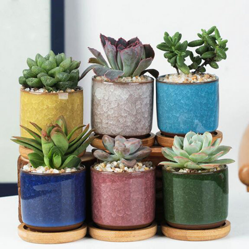 Aloe Vera Pot - 6 개/대 세라믹 화분 세트 미니