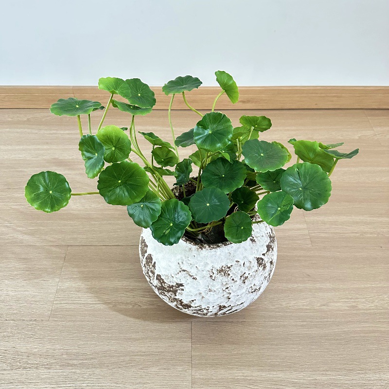 Pilea Peperomioides - 2pcs 인공 Pilea Peperomioides 분재 가짜