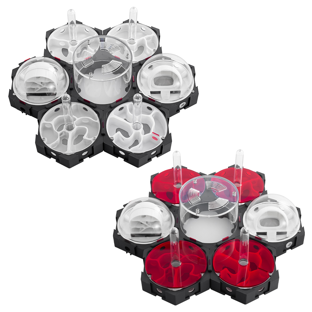 3D 인쇄 개미 둥지 무한히 확장 가능한 개미 농장 애 - Begonia Rex 리뷰 및 가격