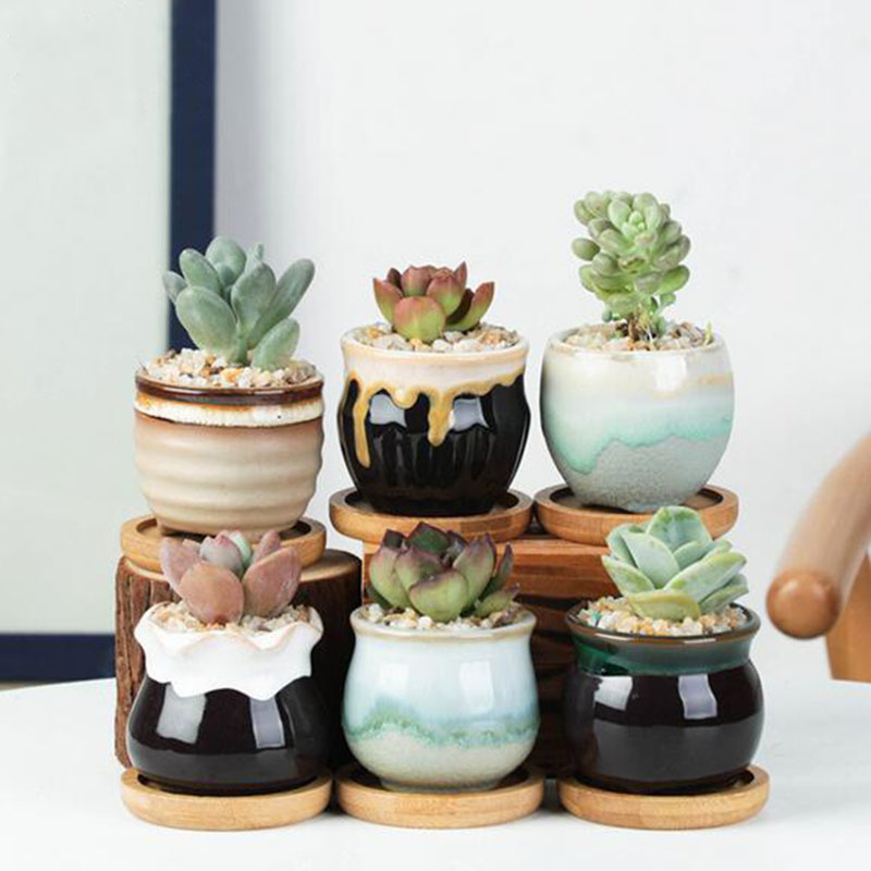 6 개/대 세라믹 화분 세트 미니 엄지 즙이 많은 식물 - Aloe Vera Pot 리뷰 및 가격
