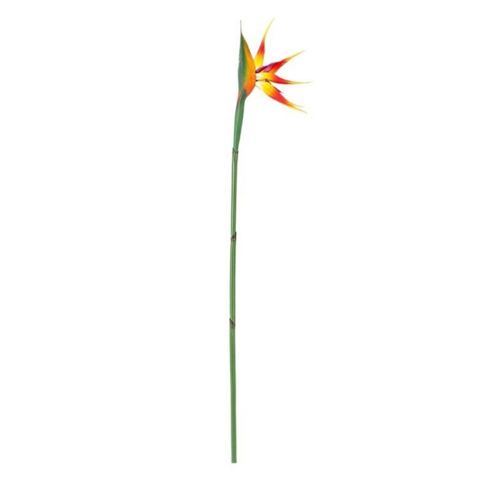 긴 줄기 인조 버드 오브 파라다이스 장식용 실제같은 느 - Bird Paradise Strelitzia 리뷰 및 가격