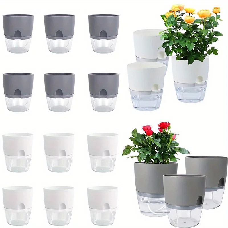 10/5개 셀프 워터링 플라스틱 화분 이중층 수경재배  - Aloe Vera Pot 리뷰 및 가격