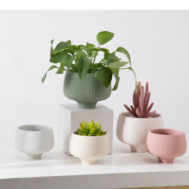여러 가지 빛깔의 줄무늬 세라믹 꽃병 화분에 심은 식물 - Aloe Vera Pot 리뷰 및 가격