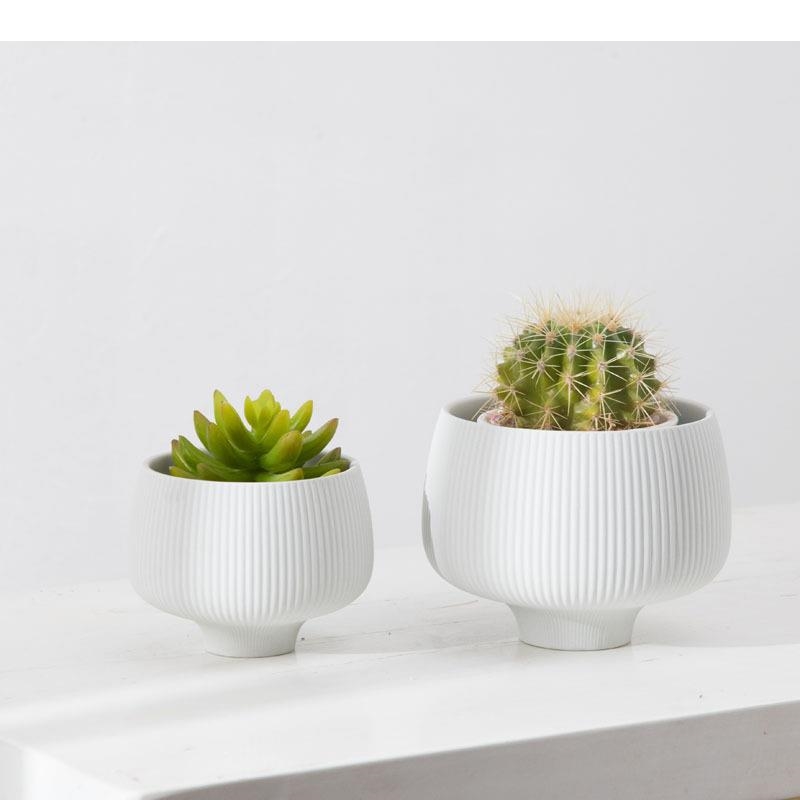 여러 가지 빛깔의 줄무늬 세라믹 꽃병 화분에 심은 식물 - Aloe Vera Pot 리뷰 및 가격