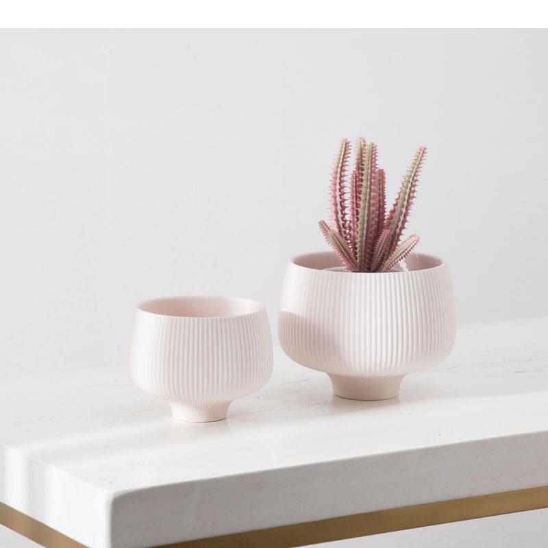 여러 가지 빛깔의 줄무늬 세라믹 꽃병 화분에 심은 식물 - Aloe Vera Pot 리뷰 및 가격