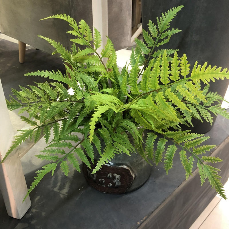 1pcs 인공 식물 침실 파티 홈 장식 7 가지 DIY - Dracaena Marginata 리뷰 및 가격