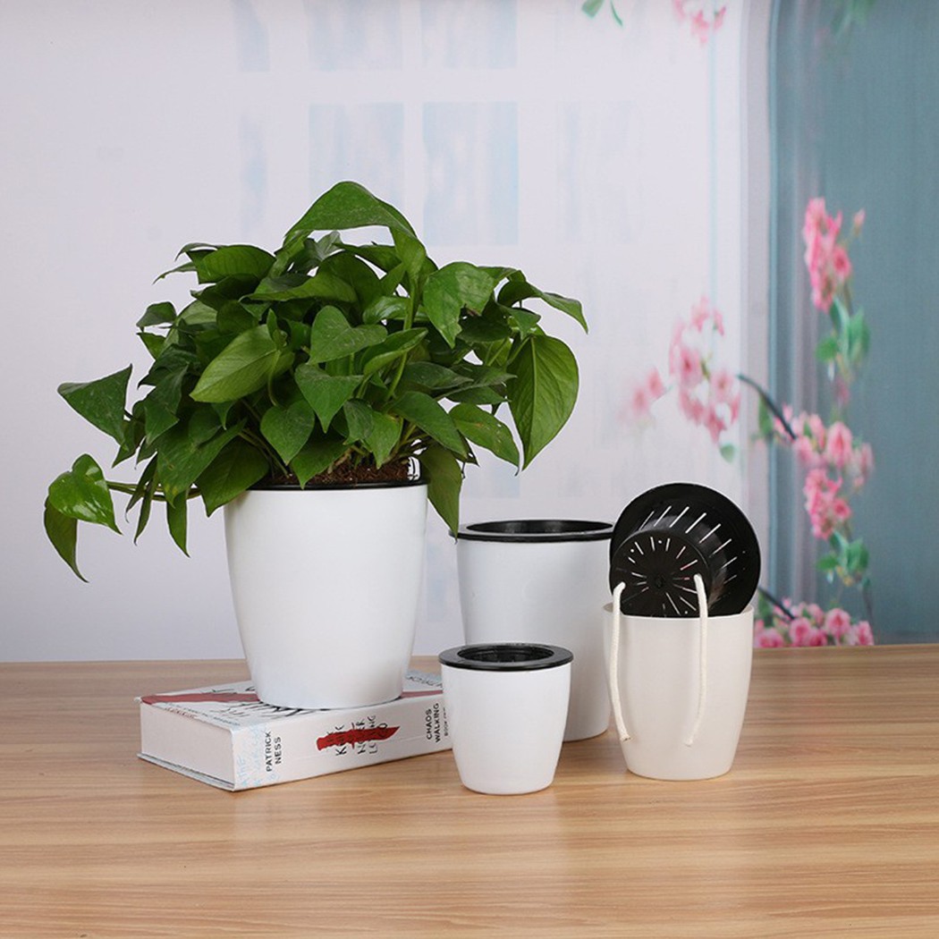 자동 급수 꽃 식물 화분, 레이지 화분, 모조 도자기, - Aloe Vera Pot 리뷰 및 가격