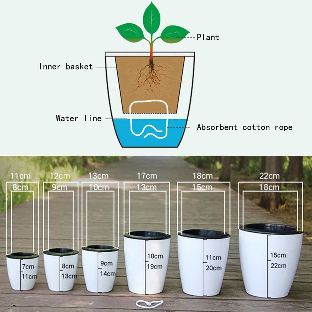 자동 급수 꽃 식물 화분, 레이지 화분, 모조 도자기, - Aloe Vera Pot 리뷰 및 가격