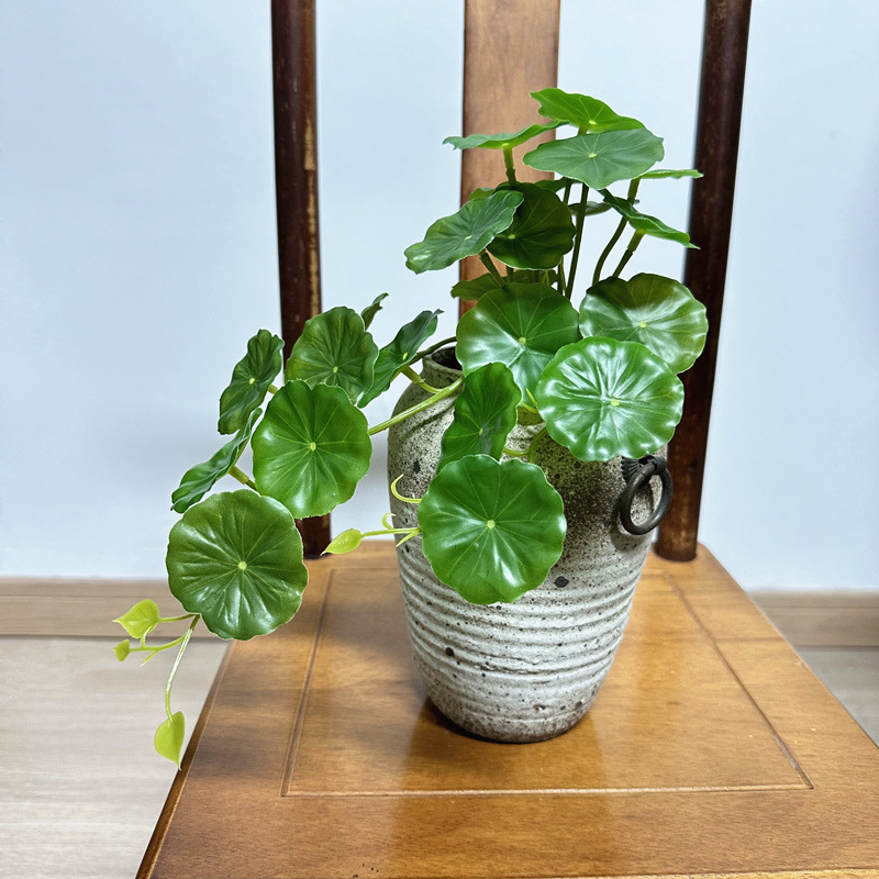 2pcs 인공 Pilea Peperomioides 분재 - Pilea Peperomioides 리뷰 및 가격
