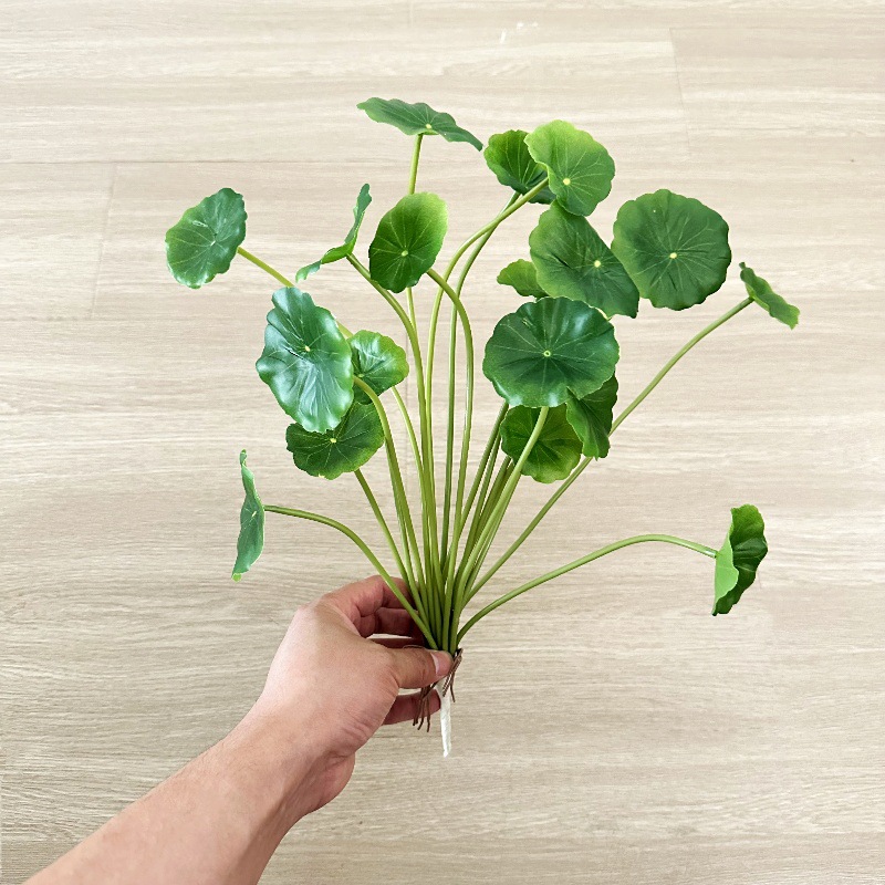 2pcs 인공 Pilea Peperomioides 분재 - Pilea Peperomioides 리뷰 및 가격