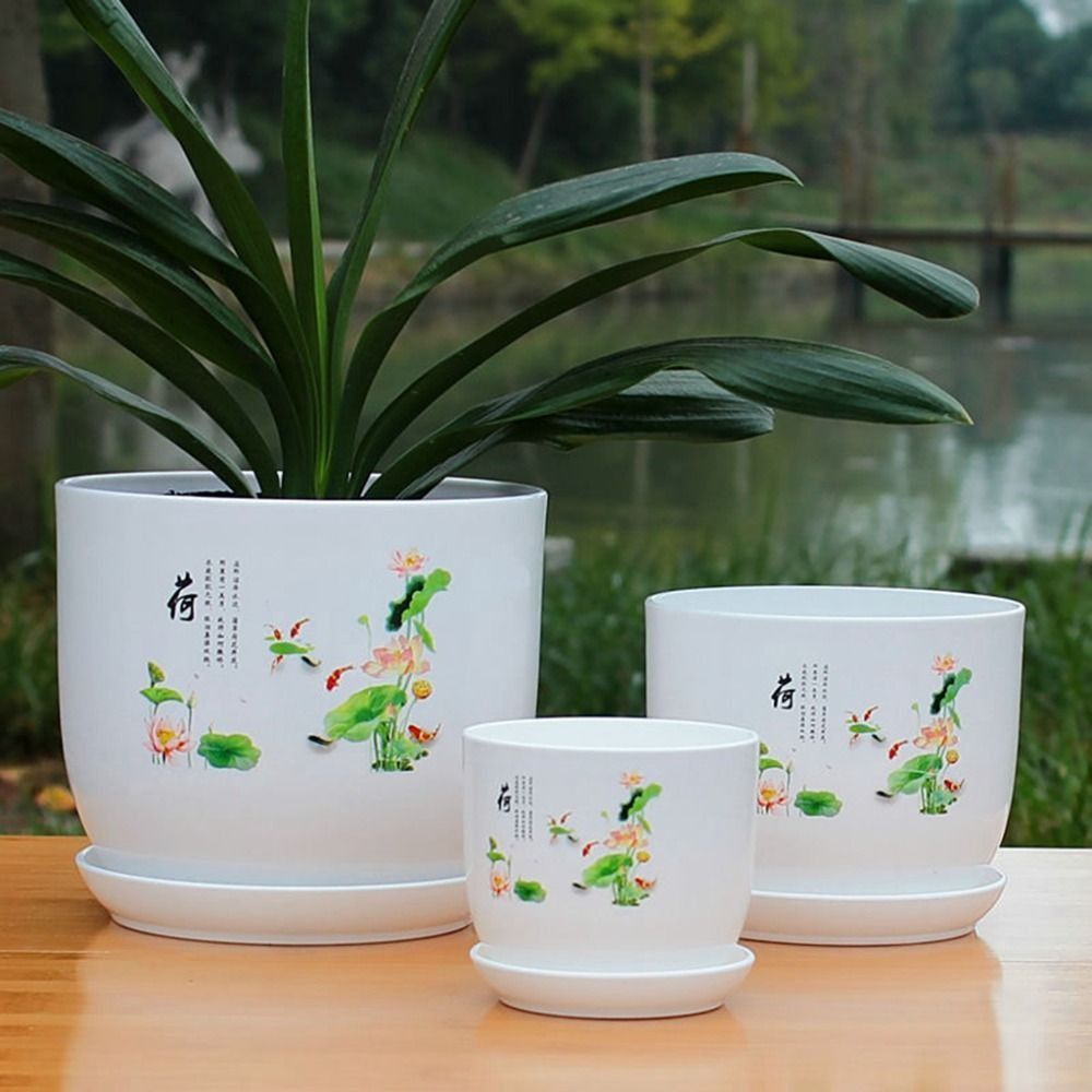 특대형 플라스틱 화분 흰색 트레이 포함 PP 레진 화분 - Aloe Vera Pot 리뷰 및 가격